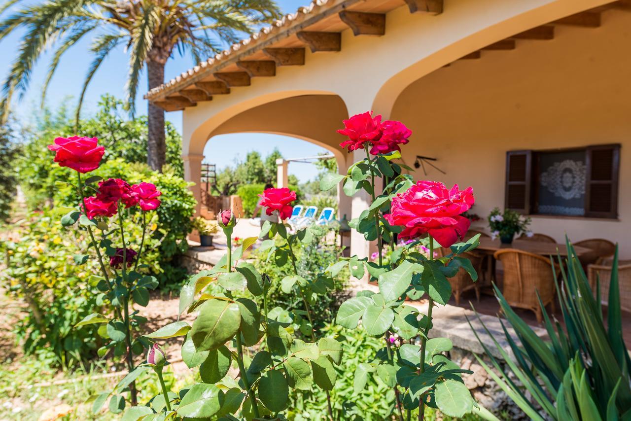 Clau De Sol Villa Can Picafort  Eksteriør bilde
